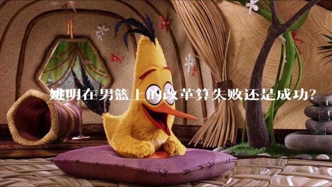 姚明在男篮上的改革算失败还是成功？