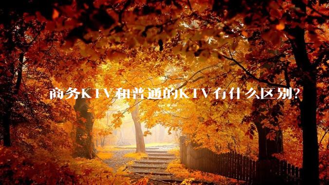 商务KTV和普通的KTV有什么区别？