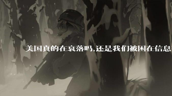 美国真的在衰落吗,还是我们被困在信息茧房?