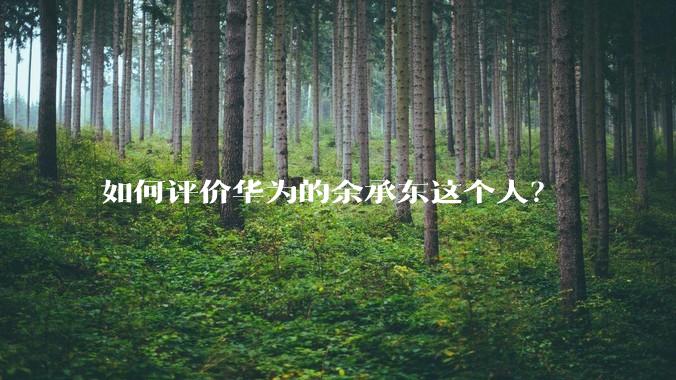 如何评价华为的余承东这个人？