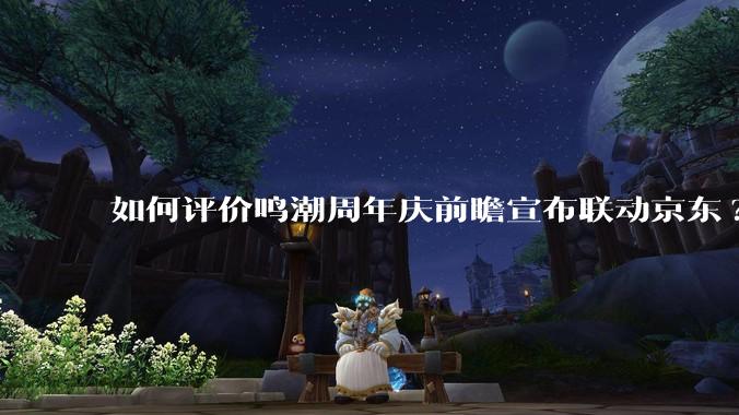 如何评价鸣潮周年庆前瞻宣布联动京东?