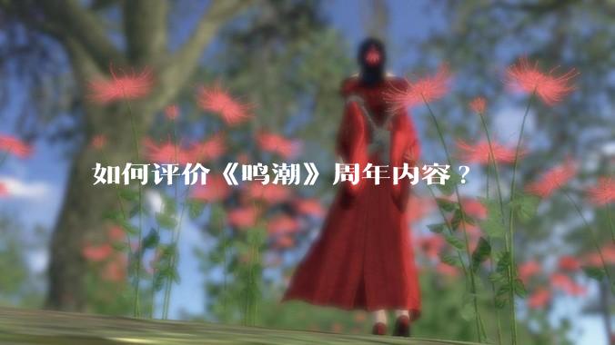如何评价《鸣潮》周年内容?