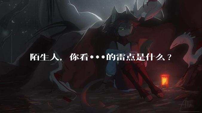 陌生人，你看***的雷点是什么?