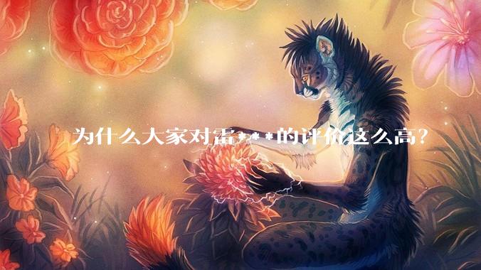 为什么大家对雷***的评价这么高？