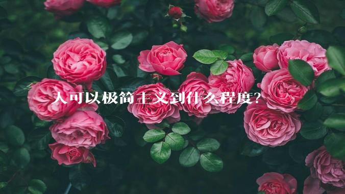 人可以极简主义到什么程度？