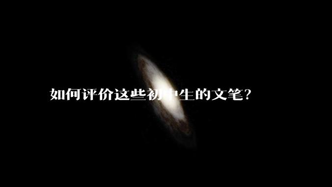如何评价这些初中生的文笔？