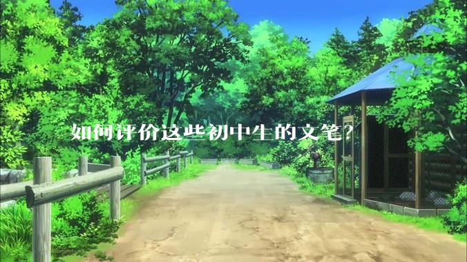 如何评价这些初中生的文笔？