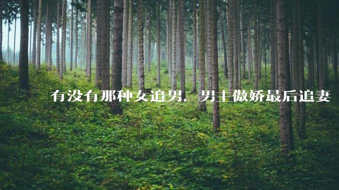 有没有那种女追男，男主傲娇最后追妻「火葬场」的言情***推荐？