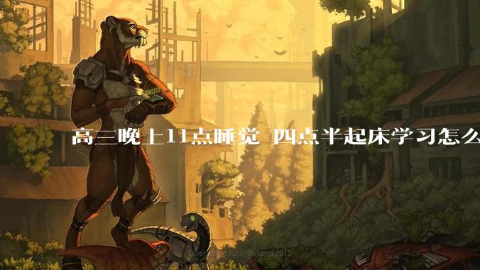 高三晚上11点睡觉 四点半起床学习怎么样？