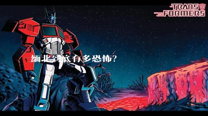缅北到底有多恐怖？