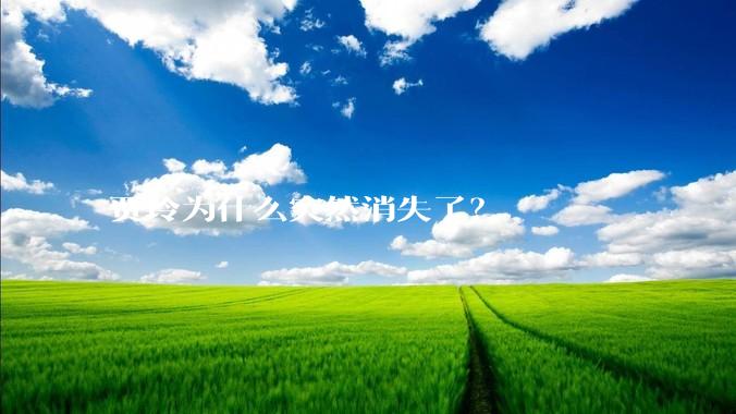 贾玲为什么突然消失了？