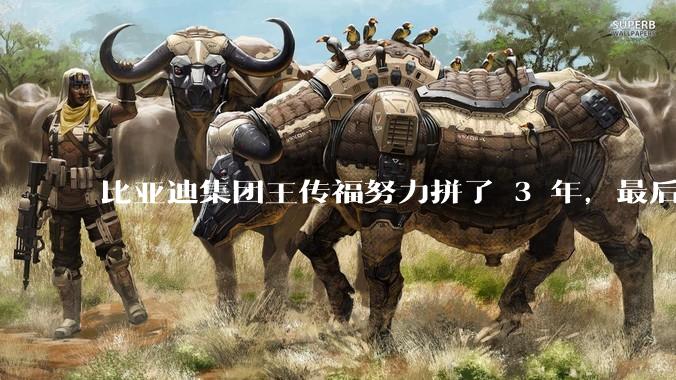 比亚迪集团王传福努力拼了 3 年，最后反而跌了近32亿，其原因是什么？