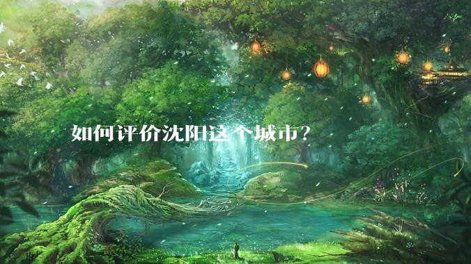 如何评价沈阳这个城市？
