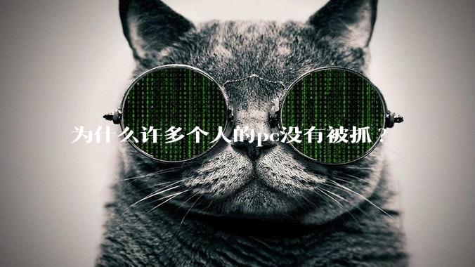 为什么许多个人的pc没有被抓?