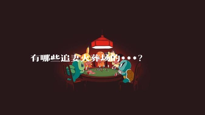 有哪些追妻火葬场的***？