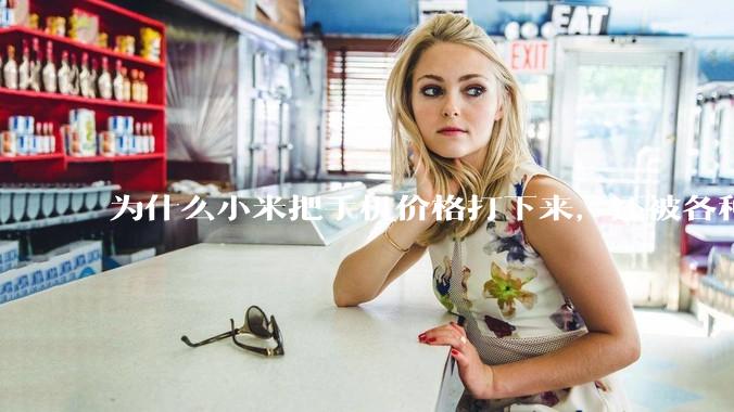 为什么小米把手机价格打下来，还被各种人骂？
