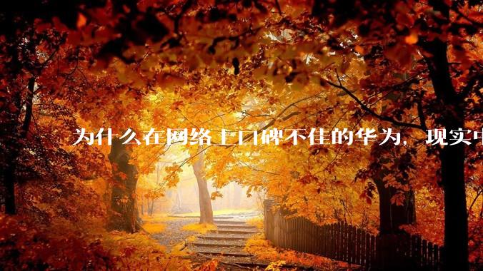 为什么在网络上口碑不佳的华为，现实中的销量却相当好？