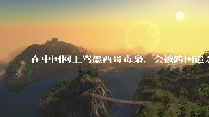 在中国网上骂墨西哥毒枭，会被跨国追杀吗？